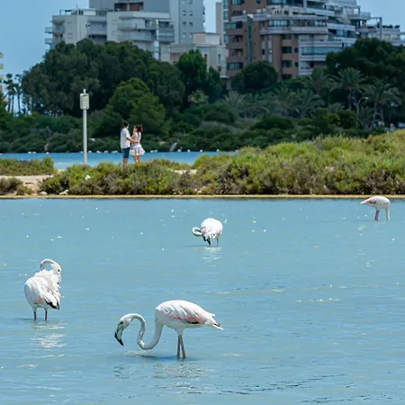 Ar Roca Esmeralda & 3* カルプ